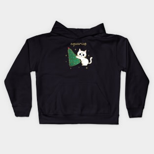 Aquarius Holiday Kitty Cat Kids Hoodie